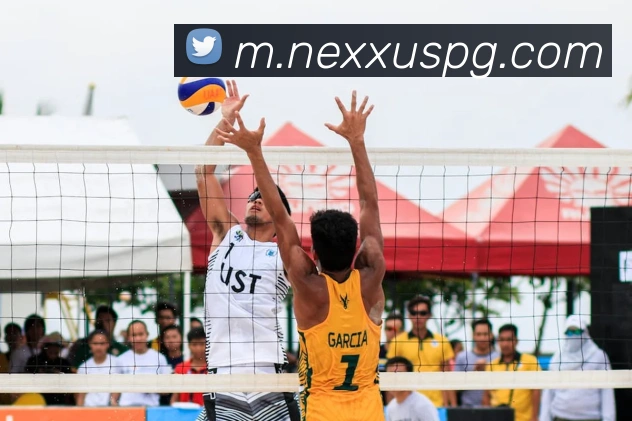 pg官网平台生态图